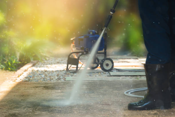 Best Solar Panel Cleaning  in Jasonville, IN